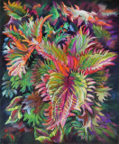 Judy Felsen