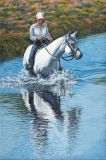 Mary Sue Walsh