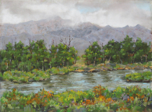 Janice St. Marie