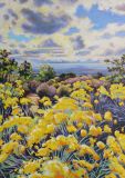 David Welch