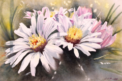 1ST PLACE WATERMEDIA: Jane Fritz