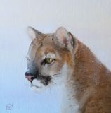 HONORABLE MENTION OIL/ACRYLIC: Lynne Patton