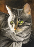 ARTISAN, SANTA FE/ALBUQUERQUE AWARD (GIFT CERTIFICATE): Penny Thomas Simpson
