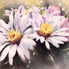 Jane Fritz
