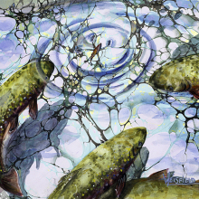 Gayle Weisfield