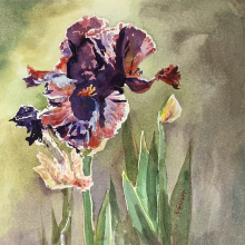 Katherine Gaunt