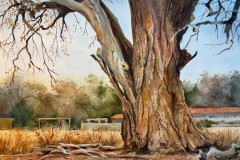 Jay Leutwyler