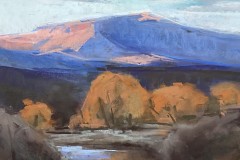GALLERY ABQ AWARD: Seung Youn