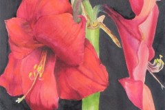 HONORABLE MENTION WATERMEDIA, Joy Brinkley-Hill