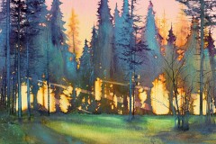 1ST PLACE WATERMEDIA, John Cormier