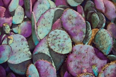 BEST OF SHOW, Reneé Marz Mullis