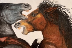 GARCIA AUTOMOTIVE GROUP AWARD, Suzanne Vigil