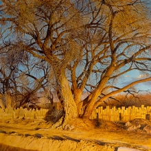 HONORABLE MENTION, OIL/ACRYLIC: Juan Wijngaard