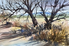 AWARD OF EXCELLENCE, WATERMEDIA: Dave Cook