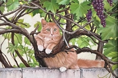 1st Place Oil, Kim Bell