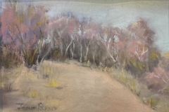 1st Place Pastel, Fran Ryan