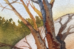 Camino de Real Artist Group Award, Toni Seidel