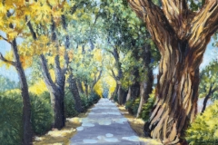 Honorable Mention, Carol Corbin-Kuykendal
