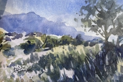 Honorable Mention, Dave Cook