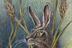 Honorable Mention, Judy Clark