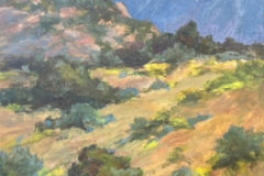 Jamie McRee Award, NM Enchantment, Patricia Leister