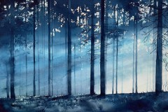 AWARD OF EXCELLENCE, WATERMEDIA: John Cormier