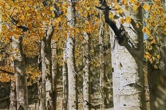 HONORABLE MENTION WATERMEDIA: Lonnie Shan