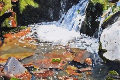 HONORABLE MENTION WATERMEDIA: Jane Fritz