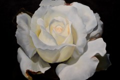 GALLERY ABQ AWARD:  Paul Rodenhauser