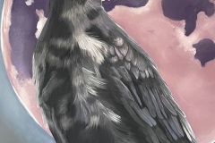 AWARD OF EXCELLENCE, PASTEL: Timothy Blasiman