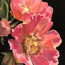 AWARD OF EXCELLENCE, SUSAN ERBE: Penny Simpson