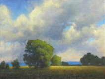 GARCIA AUTOMOTIVE GROUP: Tom Blazier