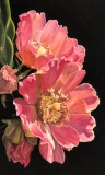 AWARD OF EXCELLENCE, SUSAN ERBE: Penny Simpson
