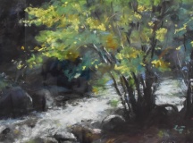Seung Youn