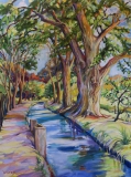 Cynthia Wister