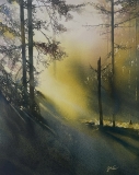 John Cormier