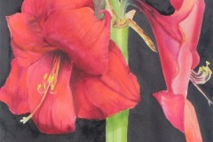 HONORABLE MENTION WATERMEDIA, Joy Brinkley-Hill