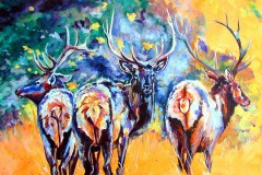 GALLERYABQ AWARD, Chris Pennington