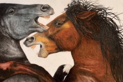 GARCIA AUTOMOTIVE GROUP AWARD, Suzanne Vigil