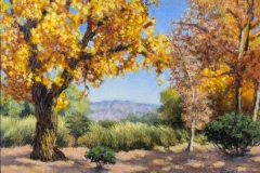 1st Place Acrylic: Carol Corbin-Kuykendall