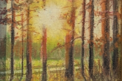 2nd Place Pastel: Panola Lisle