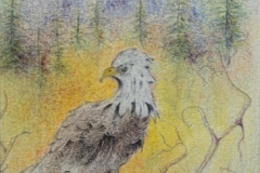 2nd Place Colored Pencil: Charles Goldsmith