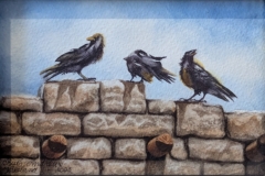 2nd Place Watercolor: Ruth Andrews-Vreeland