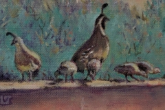 Award of Excellence, Jamie McRee: Wildlife: Valerie Swanson