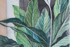 3RD PLACE COLORED PENCIL, Filomeno Martinez