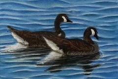 HONORABLE MENTION WATERCOLOR, Carla Terwilliger