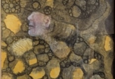 AWARD OF EXCELLENCE, MARY NELSON CREATIVITY AWARD, Junko Nakao
