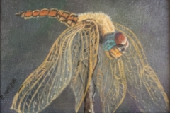 1ST PLACE ACRYLIC, Victoria Mauldin