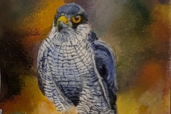 AWARD OF EXCELLENCE, SUSAN BROOKE, BEST OIL, Vickie Pleau