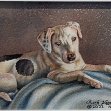 AWARD OF EXCELLENCE, Gallery ABQ Salon Show Award: Ruth Vreeland
